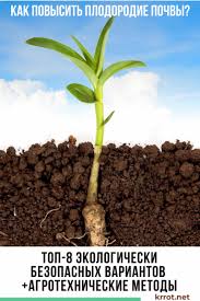 Кабачковая икра без стерилизации