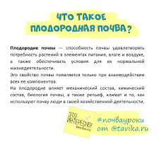 Томат гулливер: характеристика и описание сорта