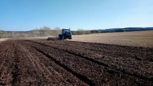 Персики: рецепты на зиму, заготовки, что приготовить на зиму, целые, переспелые, недозрелые, как сохранить на зиму.