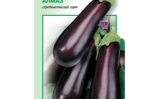 Баклажан алмаз: фото, описание, характеристика, отзывы