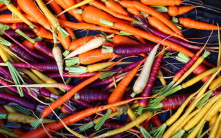 Cорта цветной моркови 