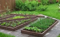 Грядки для ленивых + фото 