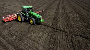 Престиж от колорадского жука: инструкция по применению, отзывы